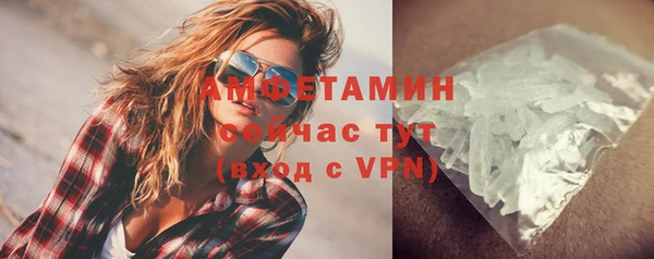 дмт Богданович