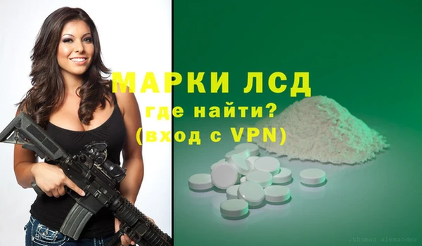 индика Белоозёрский
