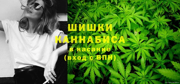 дмт Богданович