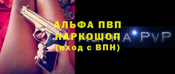 дмт Богданович