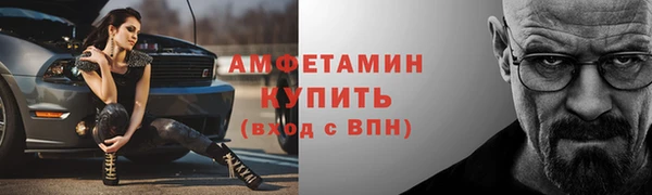 дмт Богданович