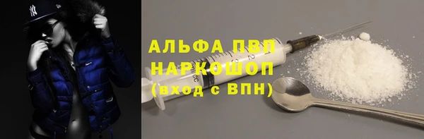 дмт Богданович
