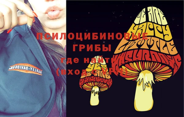 дмт Богданович