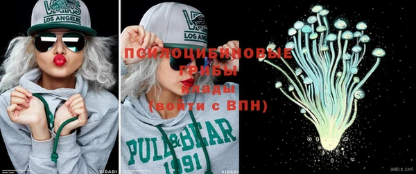 дмт Богданович