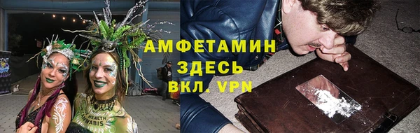PSILOCYBIN Богородицк