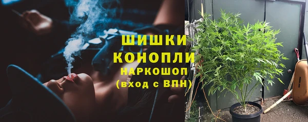 дмт Богданович