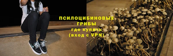 PSILOCYBIN Богородицк
