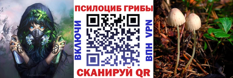 наркота маркетплейс официальный сайт Галлюциногенные грибы ЛСД Отрадная omg вход